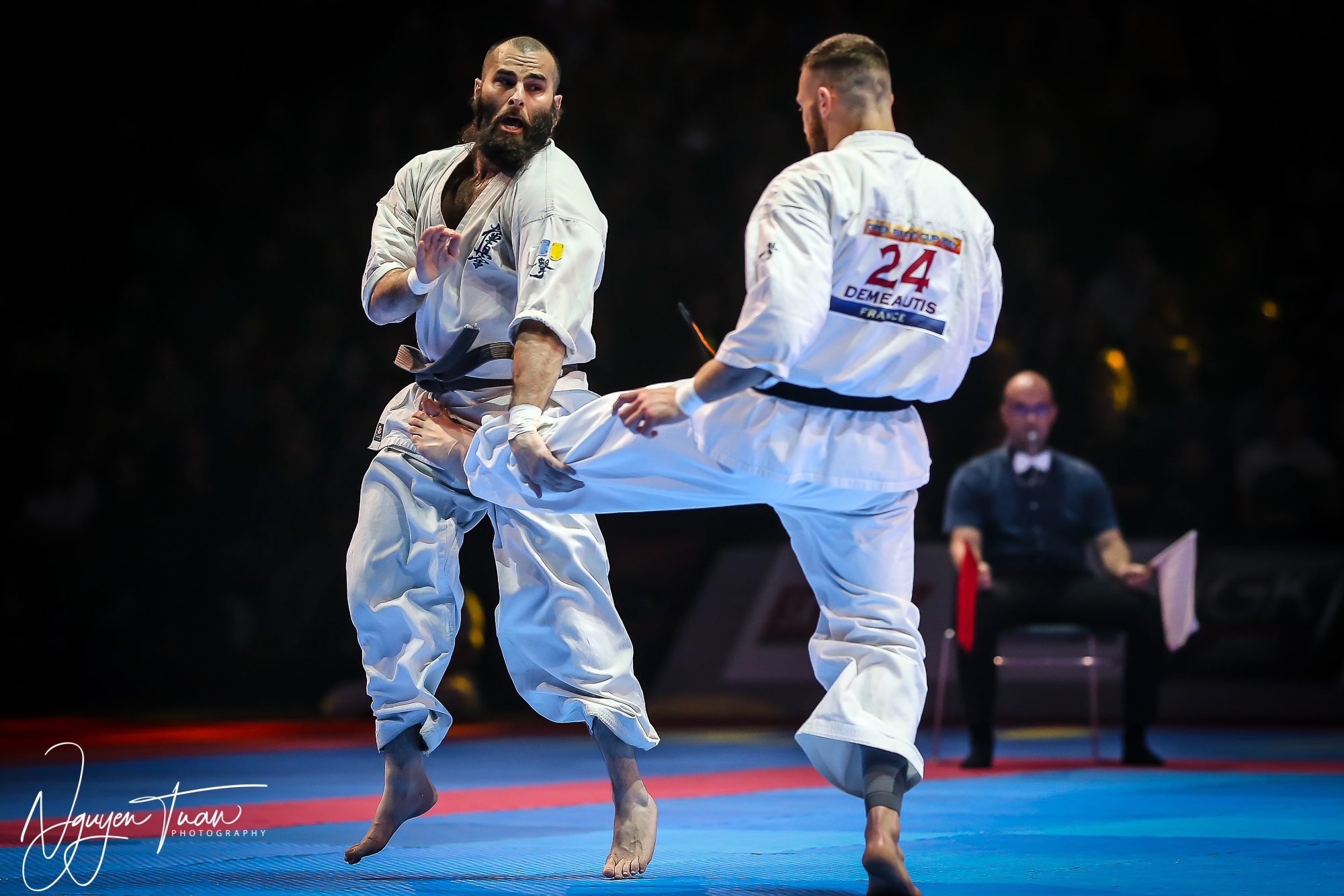 20190324 Festival des Arts Martiaux 6143